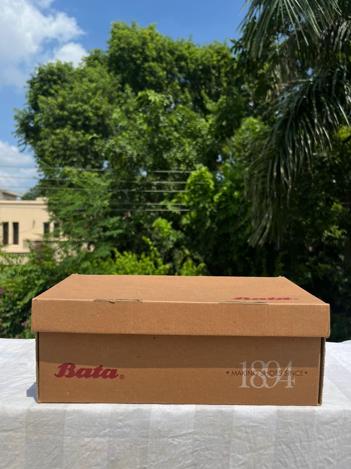 Precision Cutting carton edge